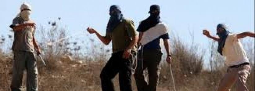 مستوطنون يهاجمون المركبات بالحجارة ويعربدون جنوب جنين