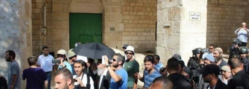 من يُغطي اقتحامات الأقصى؟