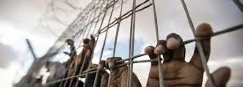 المصادقة على التغذية القسرية