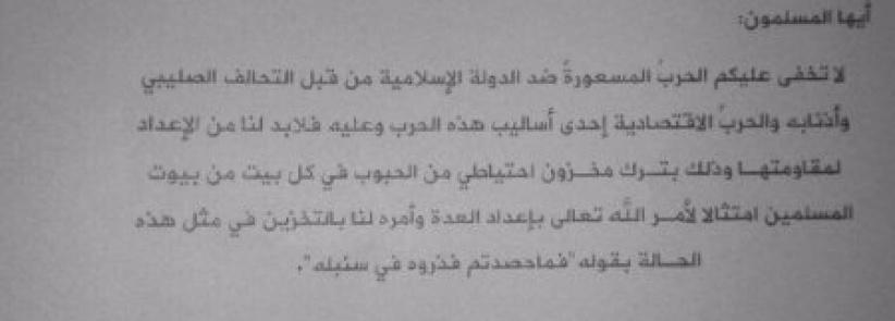 8 دواوين تدير خلافة داعش