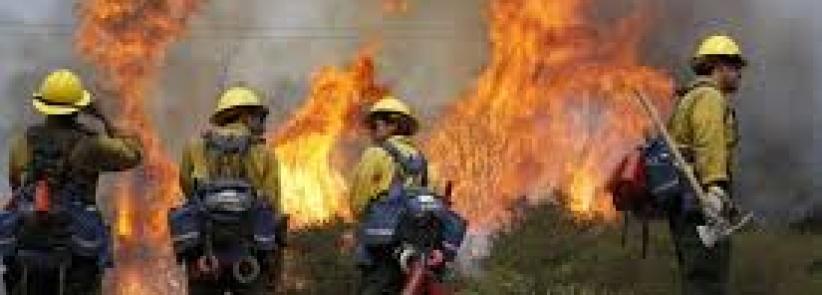 إخماد حريق في منطقة جبلية غرب الخليل