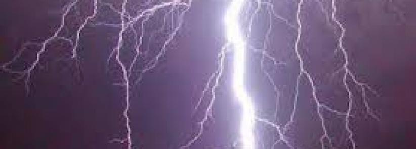 اراد التقاط 