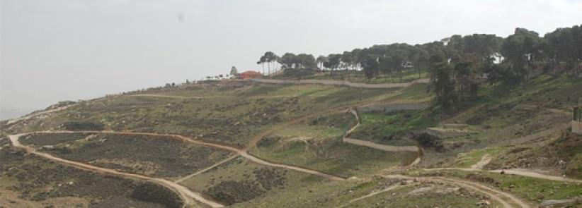 مصادرة 740 دونما من أراضي العيسوية والطور