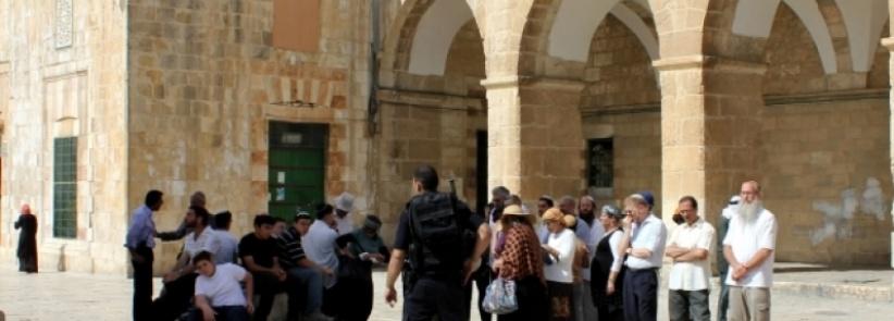 مستوطنون يقتحمون الأقصى من باب المغاربة