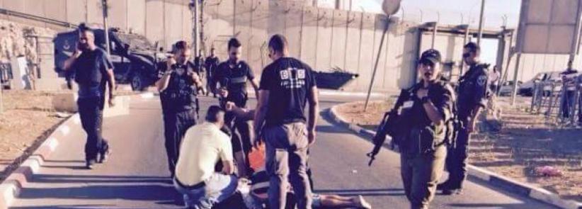 الشاباك: اعتقلنا 40 ناشطا من حماس بنابلس وصادرنا 4 مليون شيقل