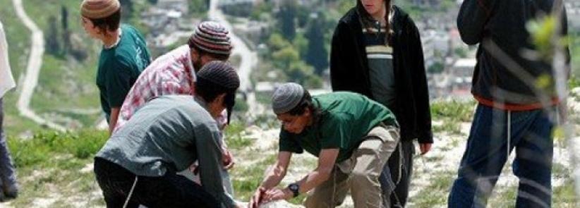 مستوطنون يهاجمون مزارعين في قصرة جنوب نابلس