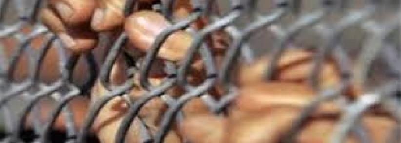 إدارة سجن مجدو تنتهج عقابًا جديدًا مع الأشبال