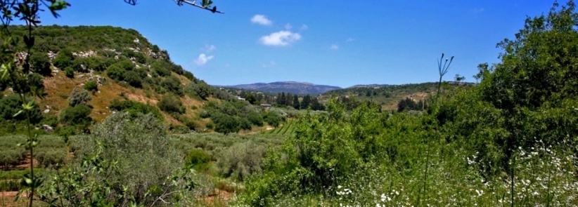 حالة الطقس- توالي ارتفاع درجات الحرارة خلال اليومين المقبلين