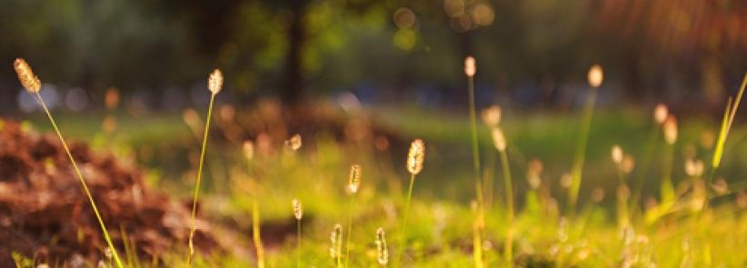 الطقس حتّى الإثنين - فرص مهيّأة لتساقط أمطار محلية