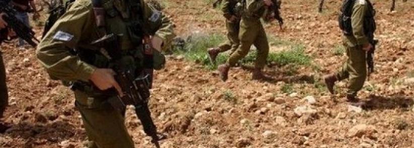 الاحتلال يمنع عشرات المزارعين من الوصول إلى حقول الزيتون في نعلين