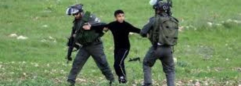 الاحتلال يعتقل طفلا ووالده أثناء قطفهما الزيتون شرق قلقيلية