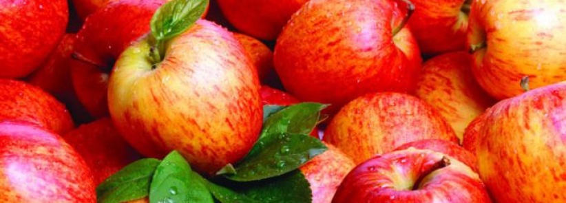 التغذية الصحية مهمة لمرضى السكري