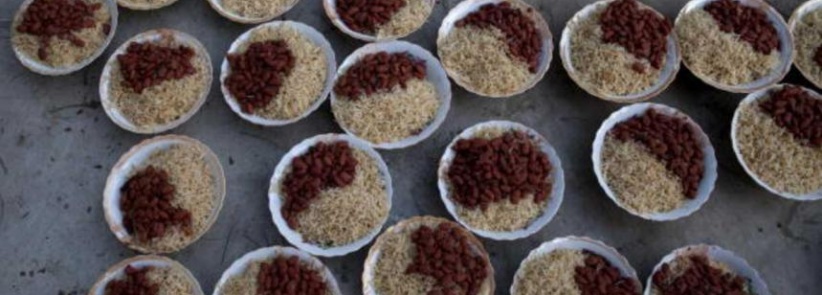 طبق واحد يكشف 