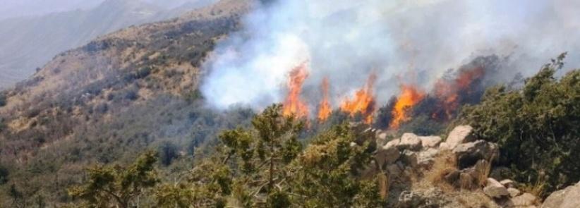 حريق ضخم يلتهم 900 دونم من جبال القدس