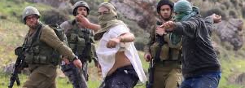 مستوطنون يعتدون بالضرب على مزارع جنوب بيت لحم