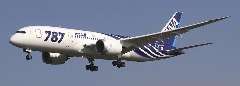 هبوط اضطراري بسبب مشاجرة زوجية عنيفة