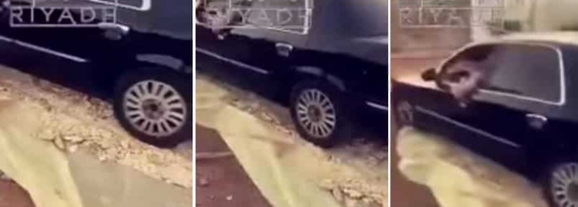 بالفيديو| شاب يدهس الخبز بسيارته يثير استياء المعلقين