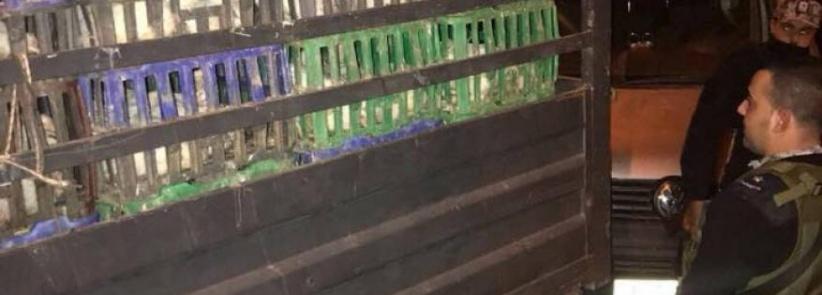 ضبط طن ونص دجاج مهرب من إسرائيل بمحافظة الخليل