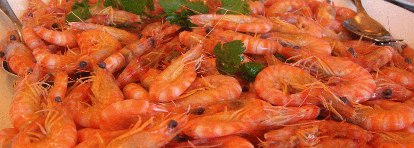 المأكولات البحرية لذيذة ومغذية.. وضارة للبعض