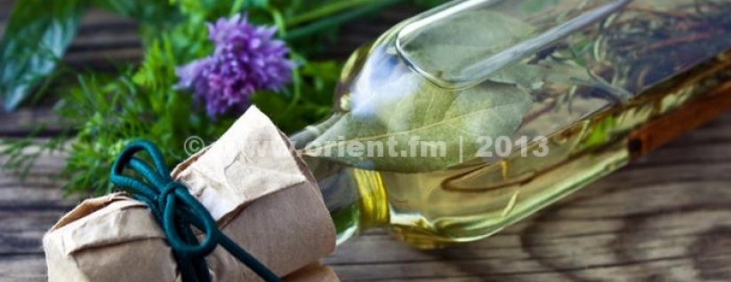 نبتة إكليل الجبل (روزماري)...لعلاج العديد من الأمراض