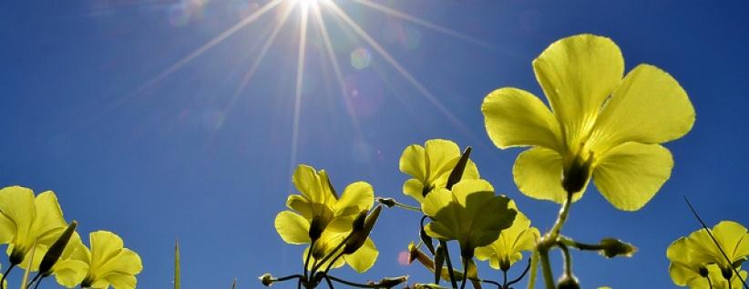 حالة الطقس لليوم الجمعة 24-5-2013