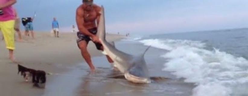 [بالفيديو].. شاب أمريكي يصطاد سمكة قرش بيديه العاريتين