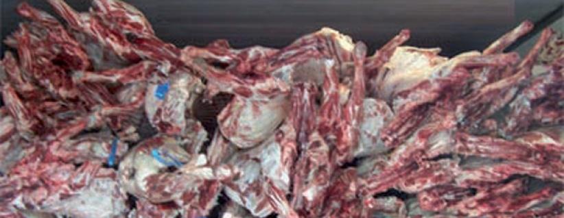 ضبط نصف طن لحم دجاج فاسد برام الله