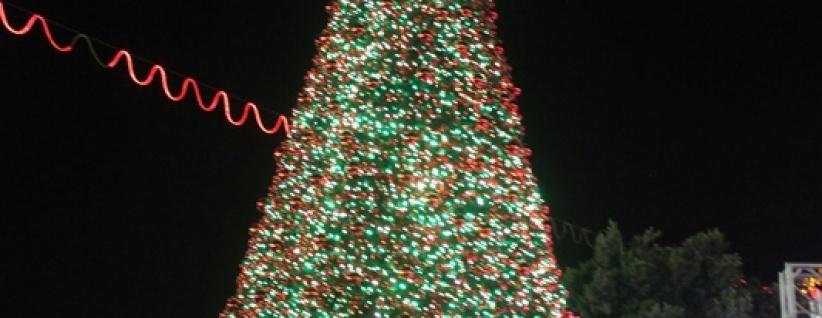 هكذا أضاءت بيت لحم شجرة الميلاد