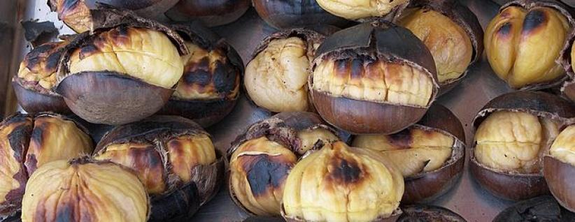 الكستناء غذاء الموسم تعرف على قيمته الغذائية