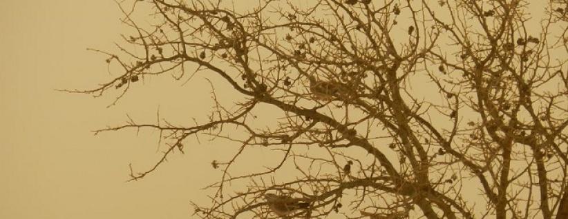 حالة الطقس لليوم السبت 22-2-2014