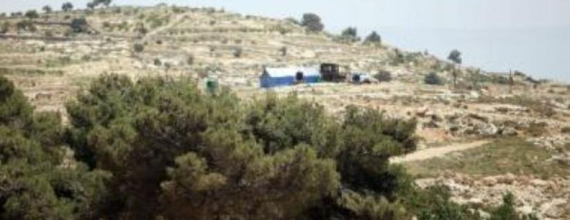 نشطاء يقيمون قرية لمواجهة الاستيطان ببيت لحم