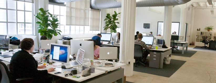 دراسة: النباتات تُسعد الموظفين وتزيد من انتاجهم