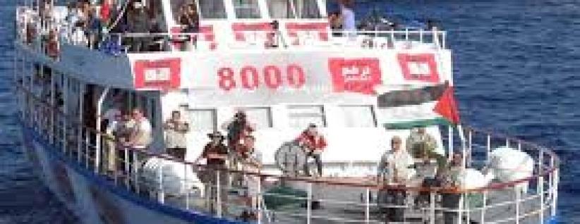 حملة إلكترونية لحماية أسطول الحرية