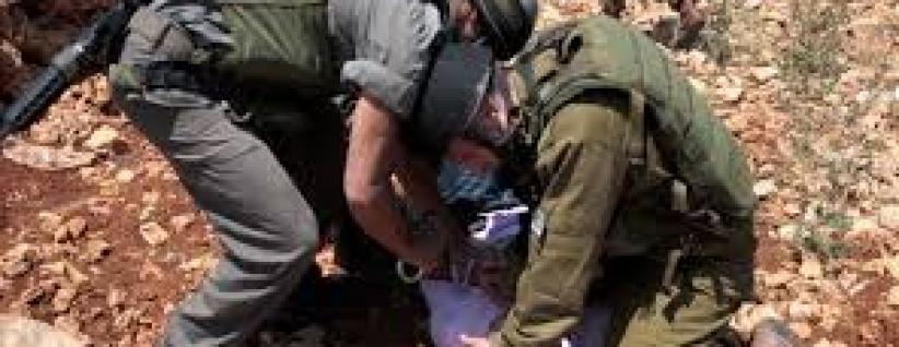 قوات الاحتلال تعتقل فتيين جنوب الخليل