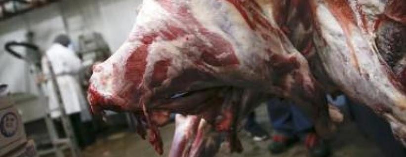 ارتفاع حاد في اسعار اللحوم قبل حلول شهر رمضان