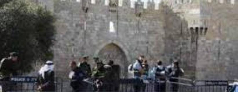 مستوطنون يقتحمون الأقصى وإبعاد 6 نساء لأسبوعين