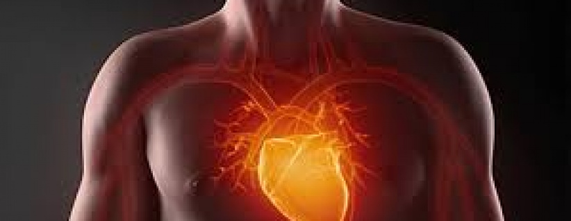 فوائد الصيام على أمراض القلب والأوعية الدموية