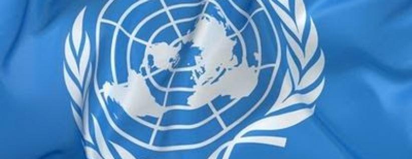 المالكي يؤكد على أهمية اجتماعات لجنة الأمم المتحدة المعنية بحقوق شعبنا غير القابلة للتصرف