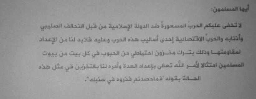 8 دواوين تدير خلافة داعش