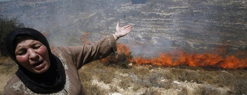 مستوطنون يحرقون أشجار زيتون غرب بيت لحم