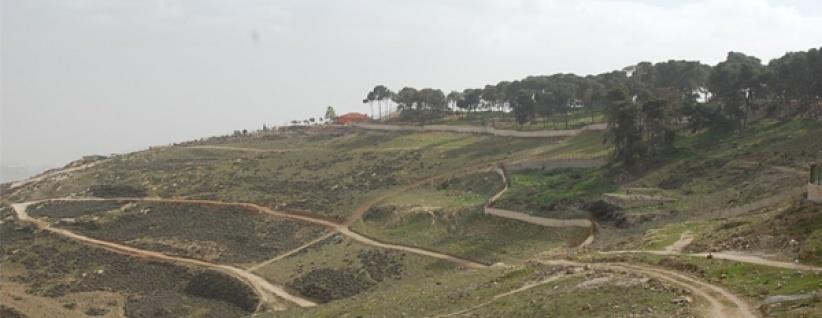 مصادرة 740 دونما من أراضي العيسوية والطور