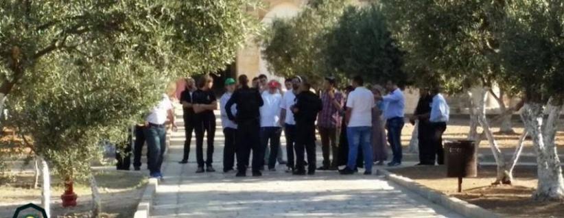 تشديدات على أبواب الأقصى و52 مستوطنًا يقتحمونه