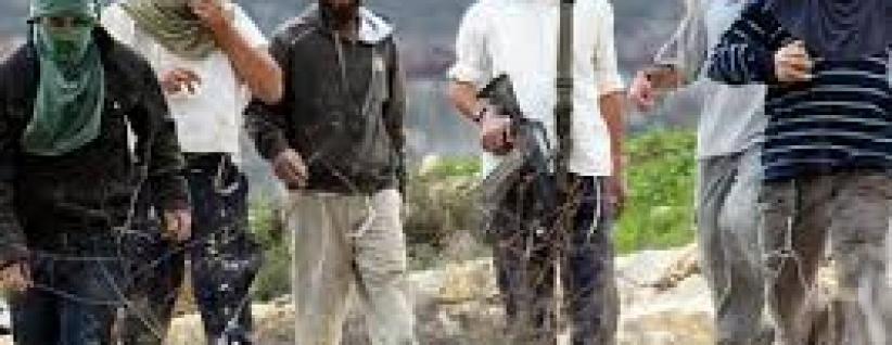 قافلة للمستوطنين تستفز الفلسطينيين جنوب نابلس