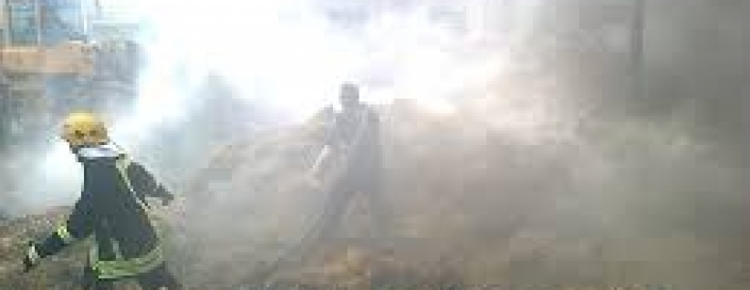 نشوب حريق بمئات اشجار الزيتون واللوزيات جنوب غرب جنين