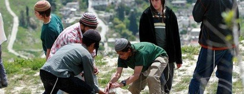 المستوطنون يهاجمون قرية كفر الديك ويقومون بقطع اشجار الزيتون بمحافظة سلفيت