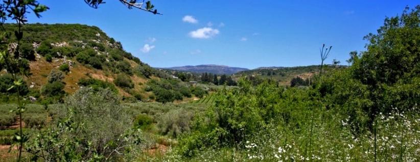 حالة الطقس- توالي ارتفاع درجات الحرارة خلال اليومين المقبلين