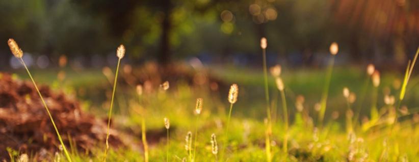 الطقس حتّى الإثنين - فرص مهيّأة لتساقط أمطار محلية