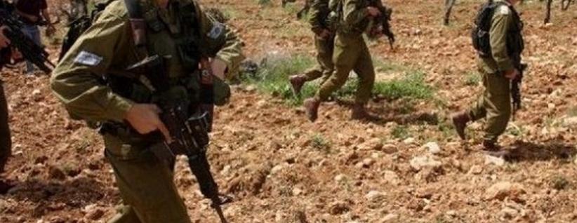 الاحتلال يمنع عشرات المزارعين من الوصول إلى حقول الزيتون في نعلين