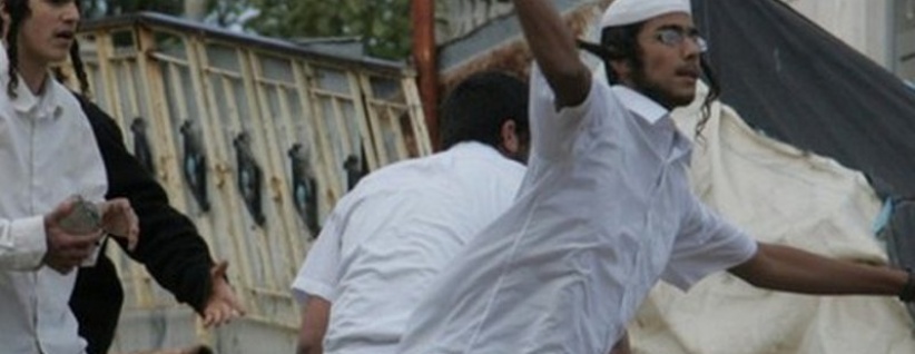 مستوطنون يرشقون منازل أم الخير بالحجارة