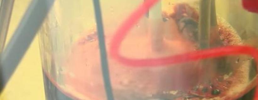 فيديو- علماء روس.. الدم البديل أصبح حقيقة